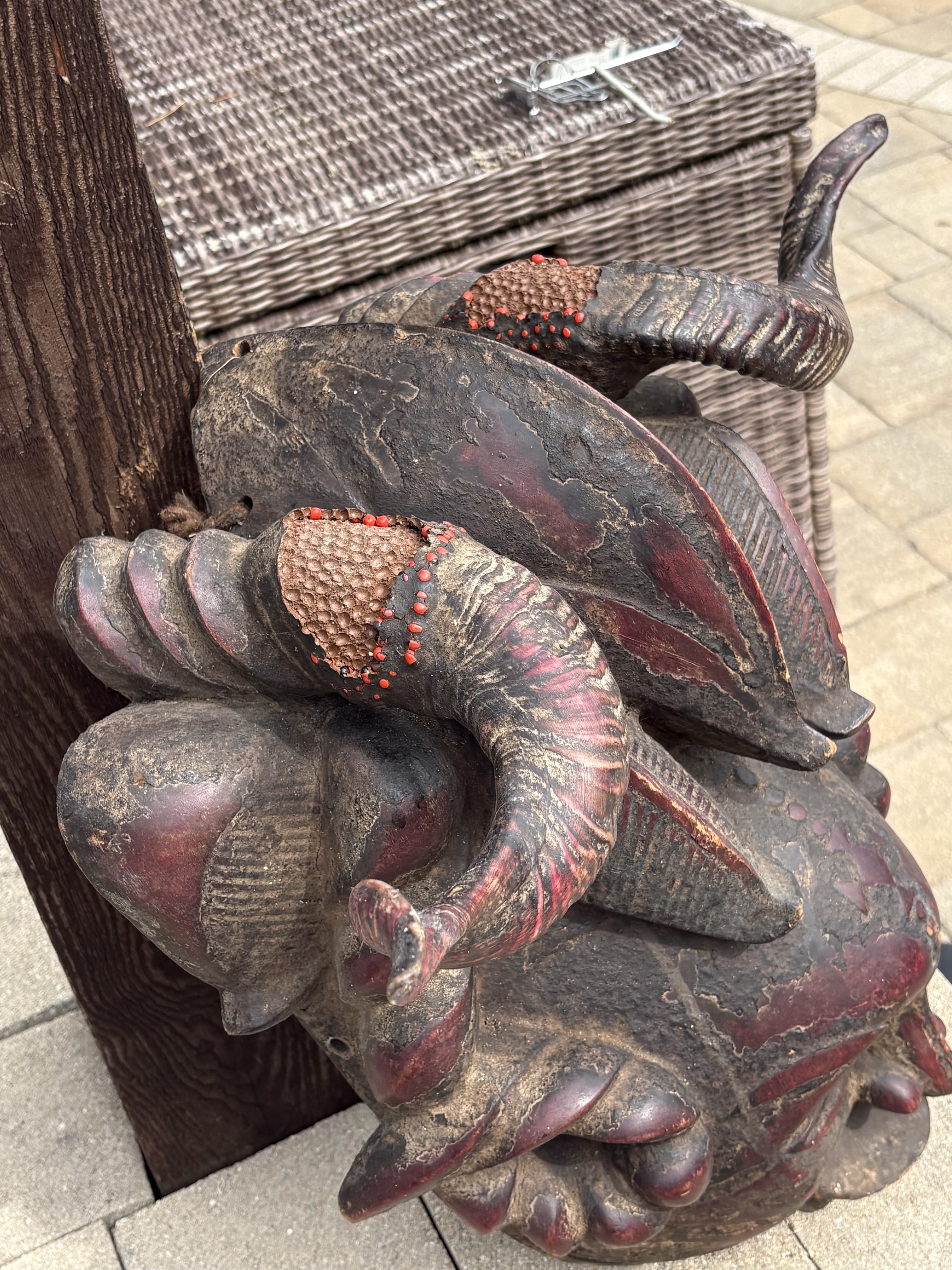 24” Vintage Ejagham Cross River Horned Mask – Nigeria / Cameroon - Image 3