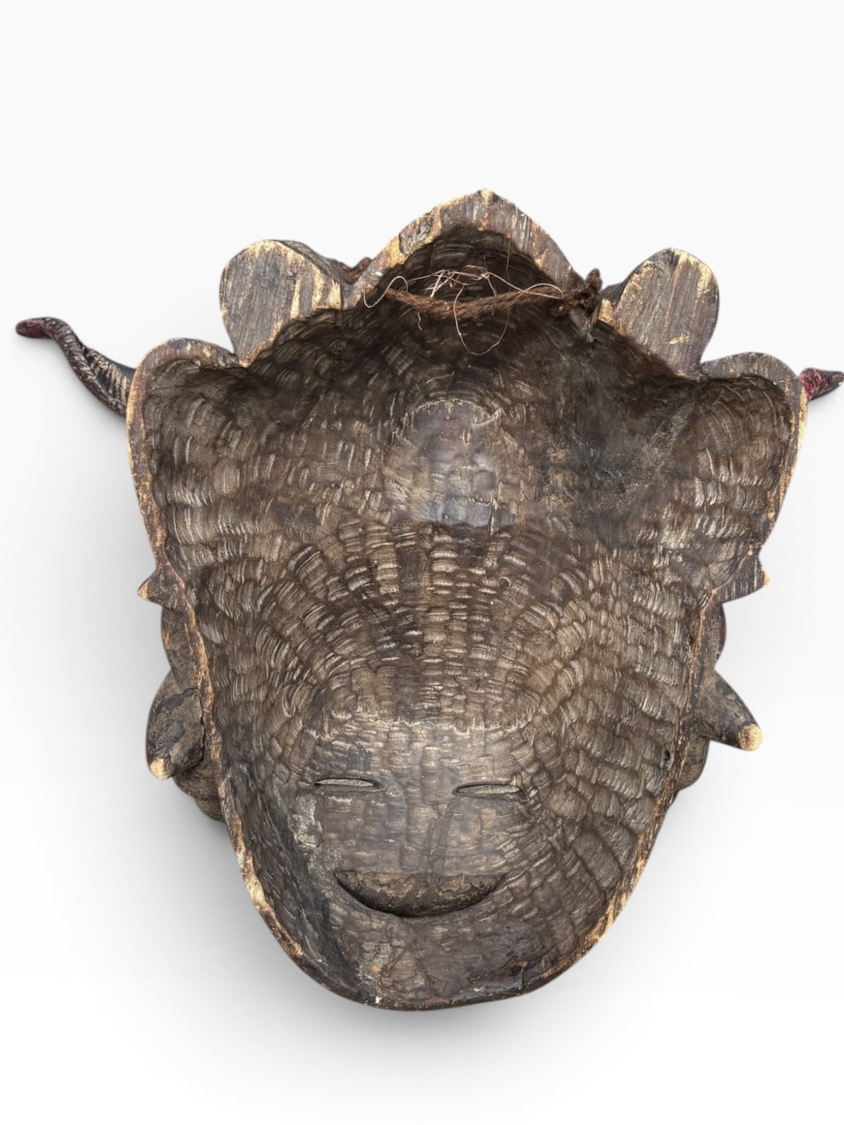 24” Vintage Ejagham Cross River Horned Mask – Nigeria / Cameroon - Image 8
