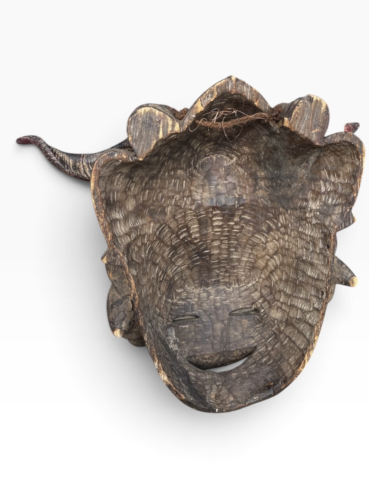 24” Vintage Ejagham Cross River Horned Mask – Nigeria / Cameroon - Image 7